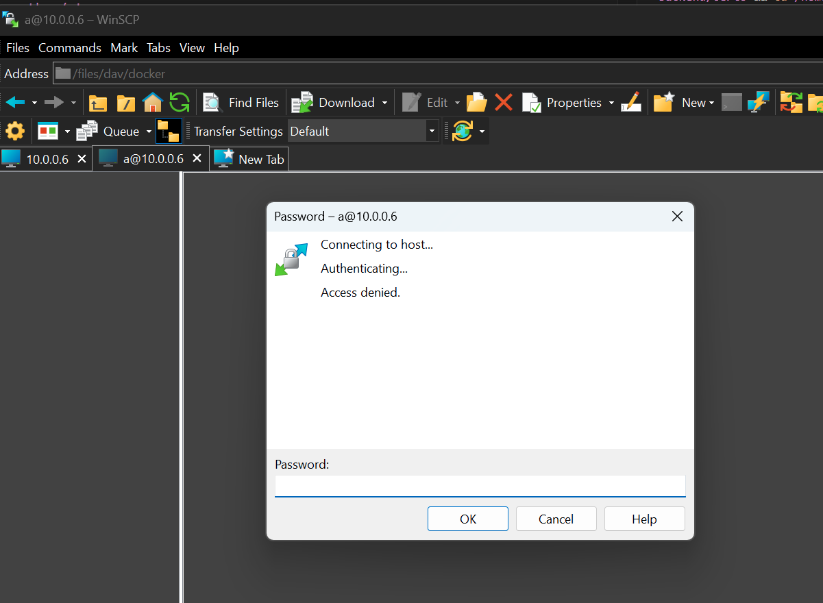 winscp